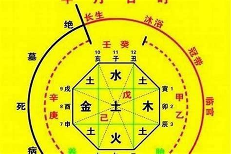 十神五行|生辰八字算命、五行喜用神查询（免费测算）